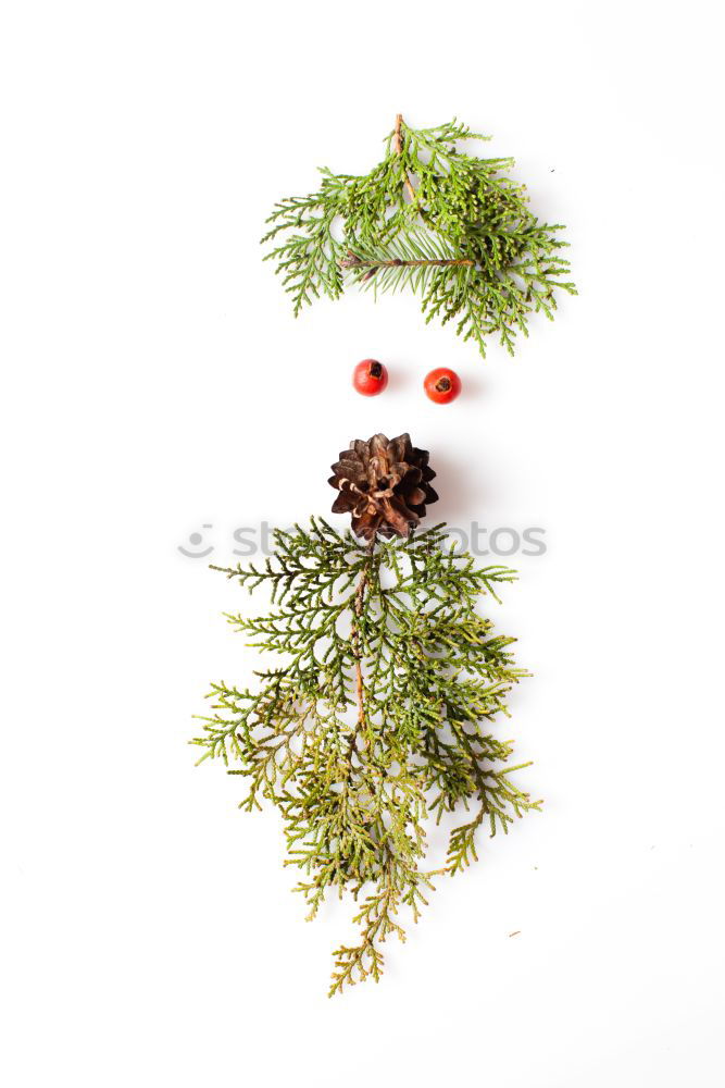 Similar – Image, Stock Photo Creative layout made of Christmas decorations.