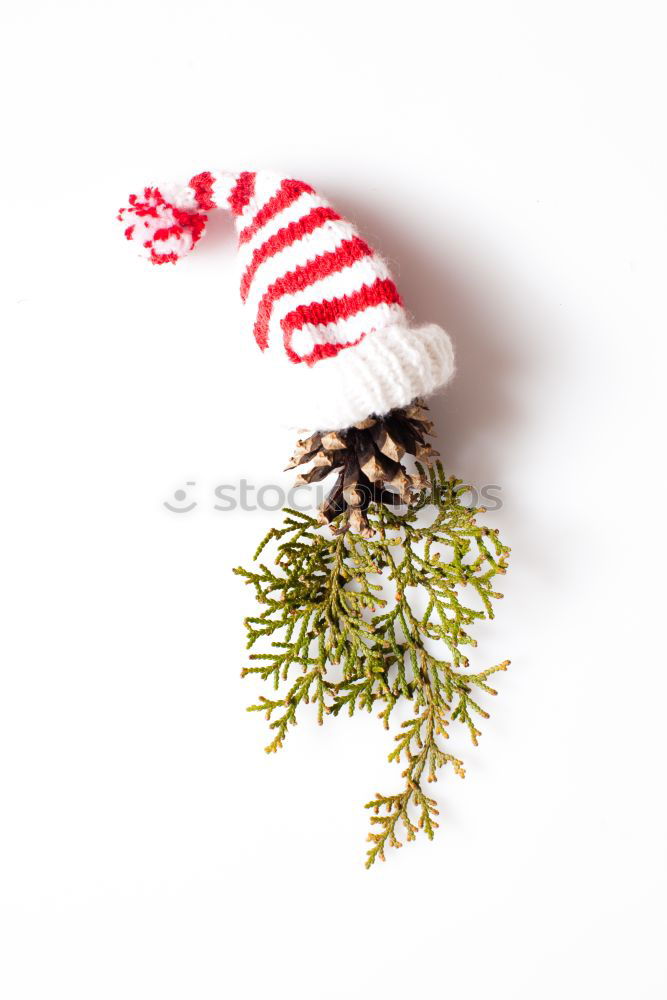 Similar – Image, Stock Photo Creative layout made of Christmas decorations.