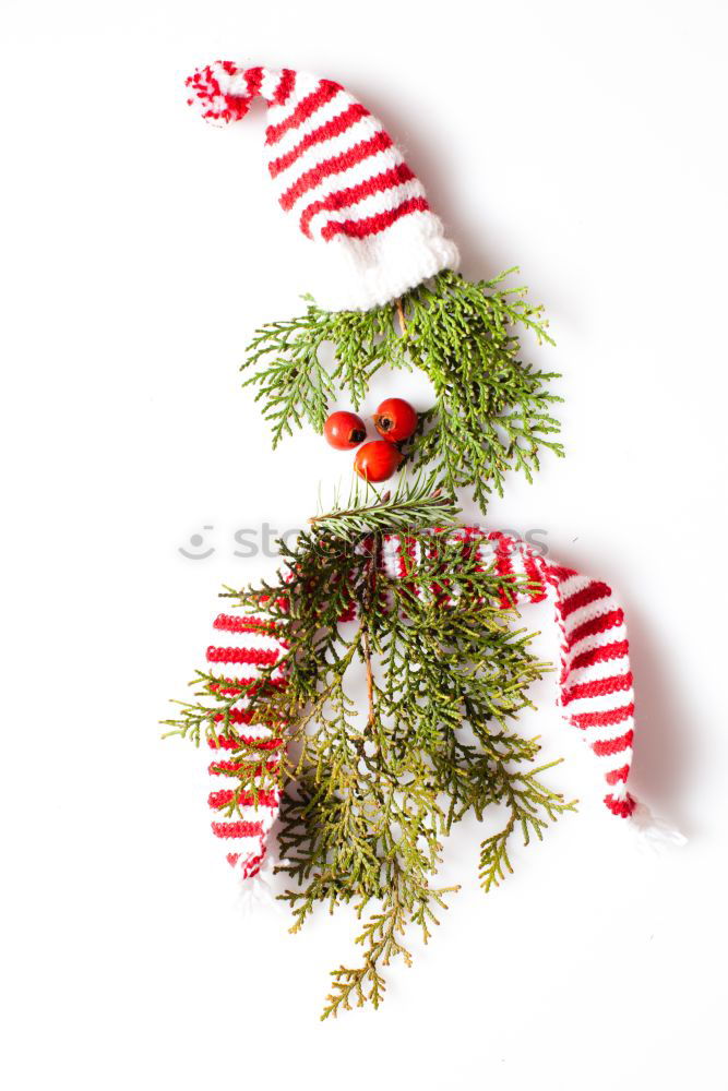 Similar – christmas decoration holly