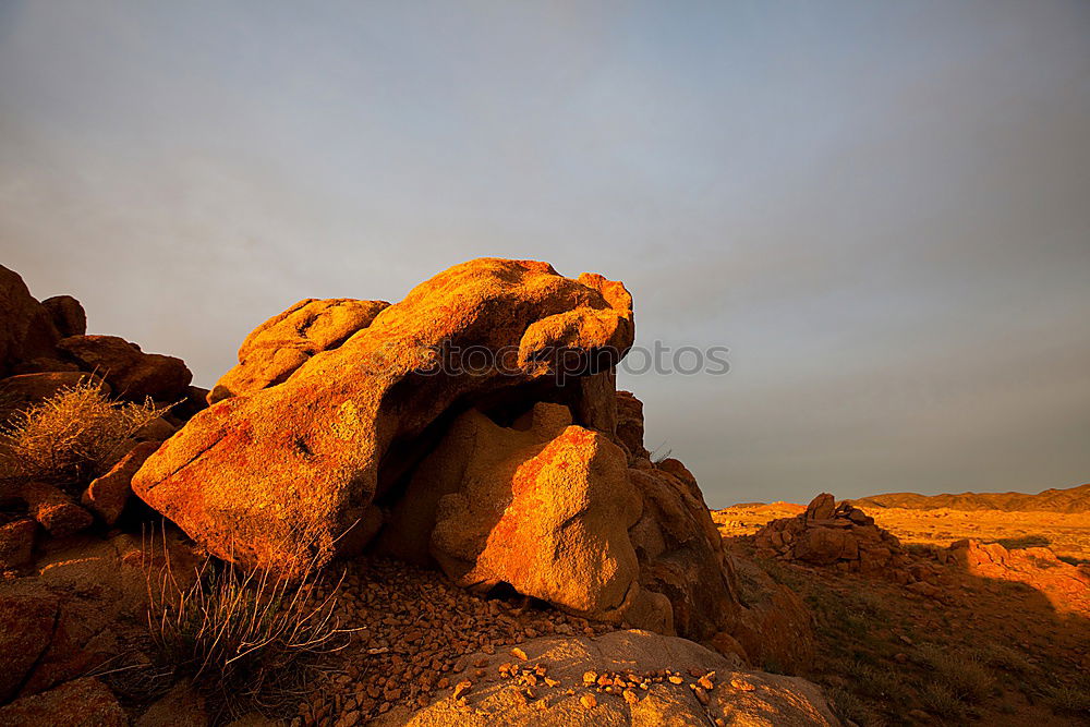 Similar – Image, Stock Photo steep tooth