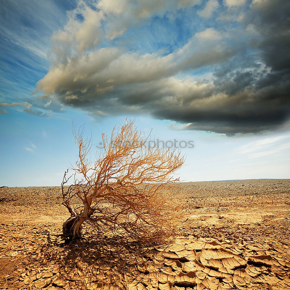 Similar – Deadvlei (Namibia)