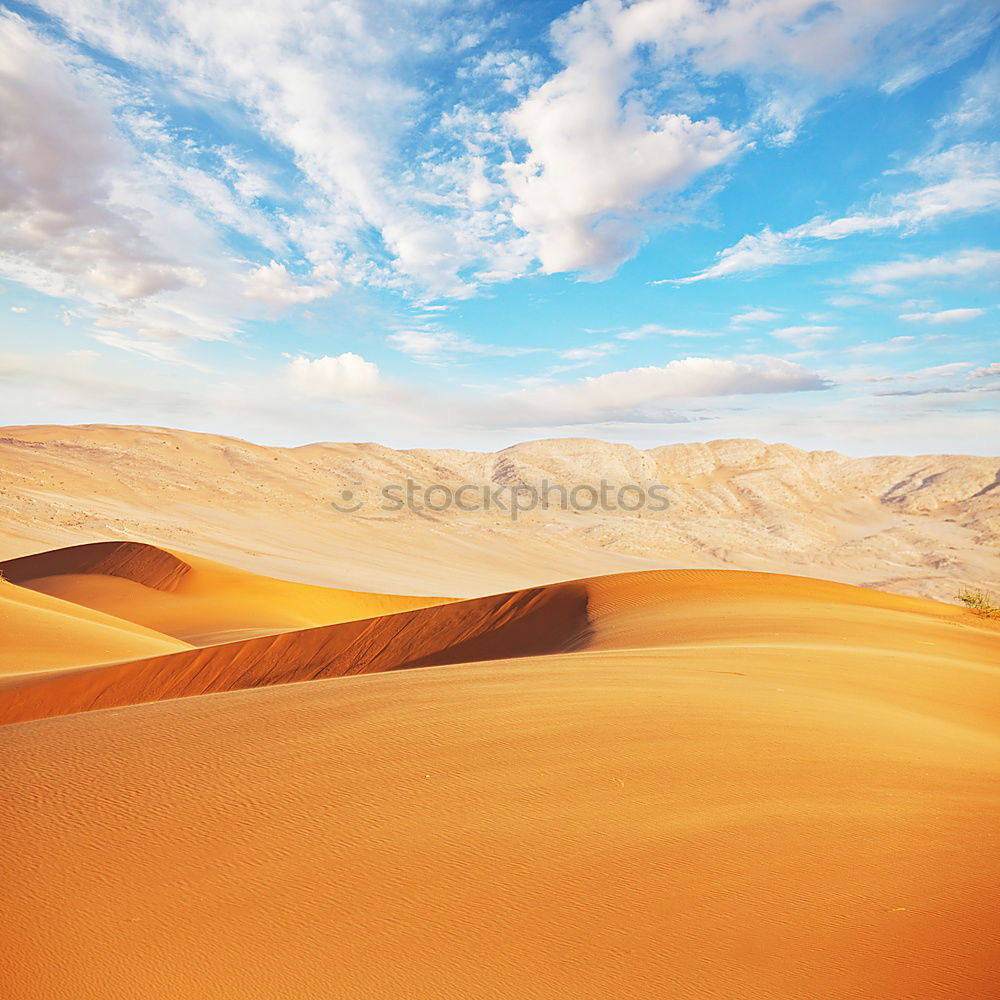 Similar – Image, Stock Photo Farmer in the Andes 1 Peru