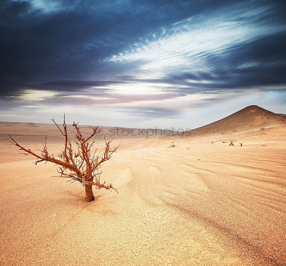 Similar – Deadvlei (Namibia)