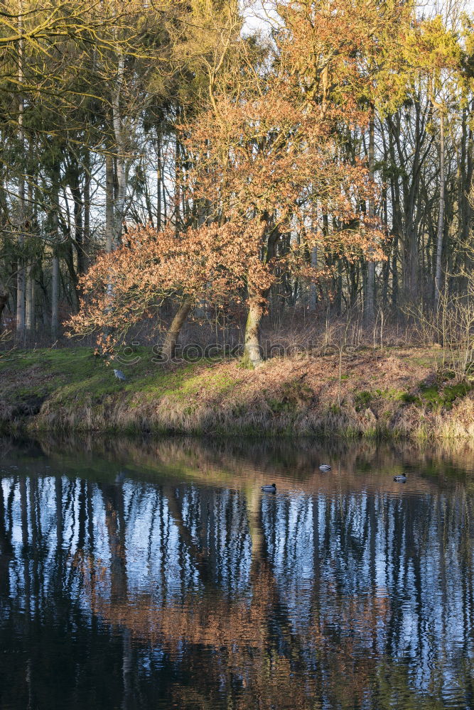 Similar – Image, Stock Photo Let’s go across the lake.