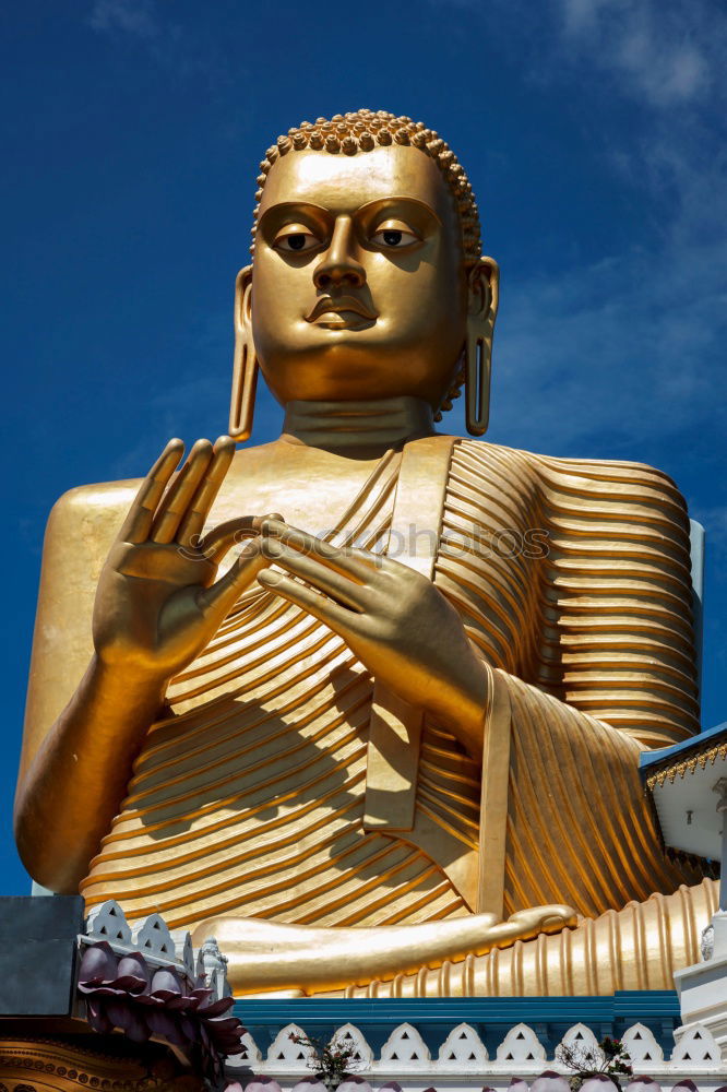 Image, Stock Photo Buddha Safari Body 1