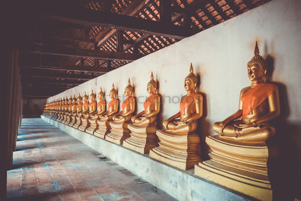 Similar – Image, Stock Photo golden statues in 1000 Buddhas Temple in Hong Kong.