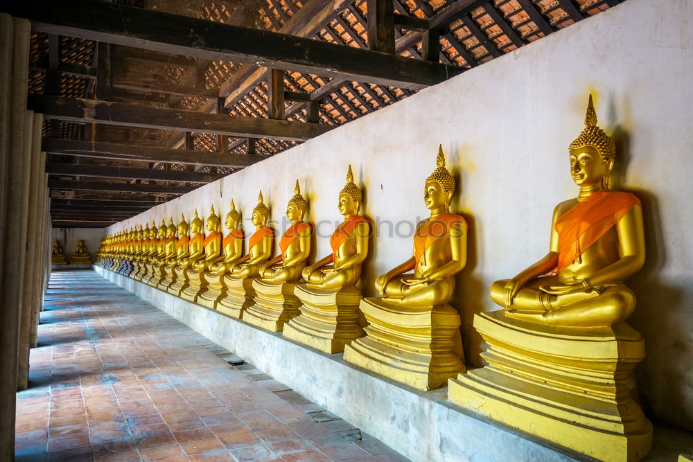 Similar – Image, Stock Photo golden statues in 1000 Buddhas Temple in Hong Kong.