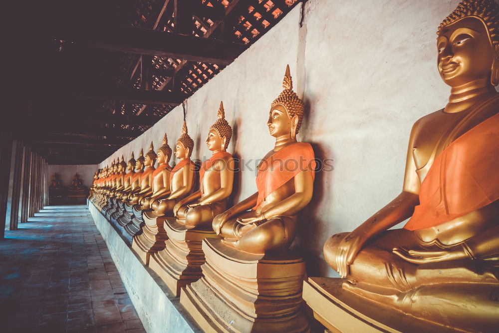 Similar – Image, Stock Photo Temple in Hanoi, Viet Nam