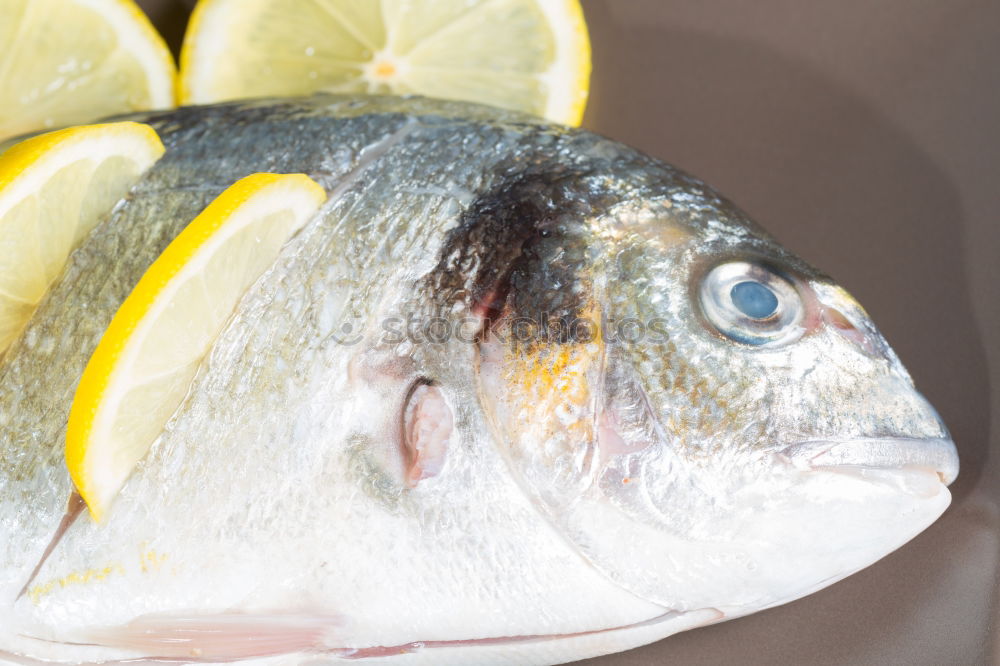 Similar – Dorado fish with ingredients for cooking