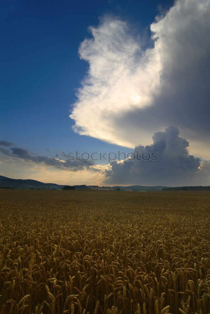 Similar – Image, Stock Photo Fields around Mühlacker