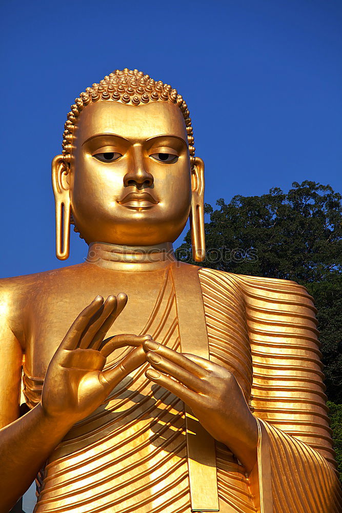 Similar – Image, Stock Photo Buddha Safari Body 1