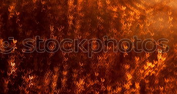 Similar – Image, Stock Photo Forest fire