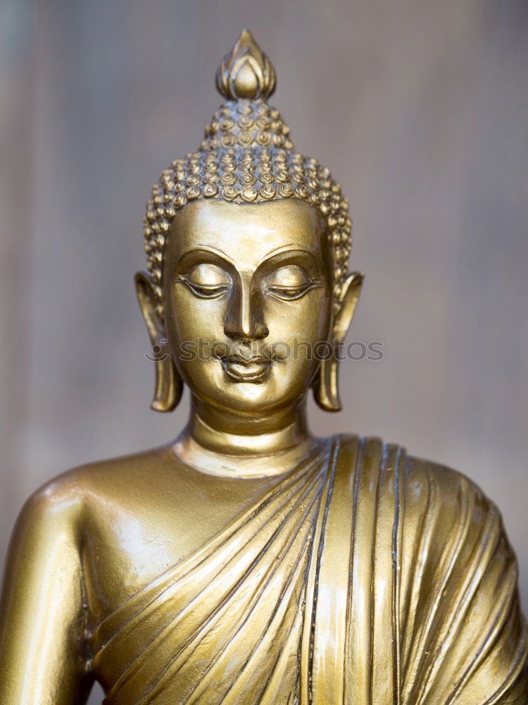 Similar – Image, Stock Photo Buddha Safari Body 1