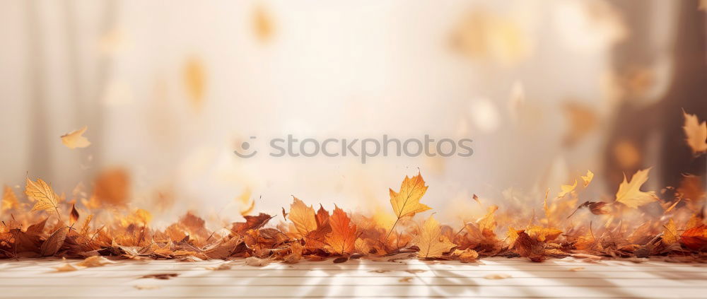Similar – Image, Stock Photo Another leaf Autumn Leaf