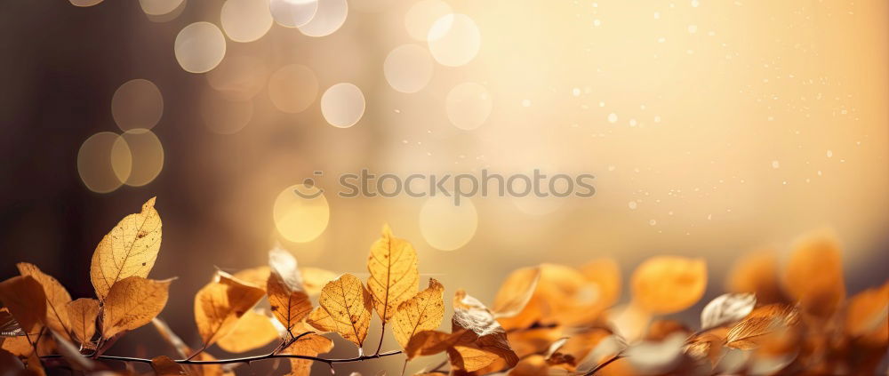 Similar – Image, Stock Photo little wooden tree Style