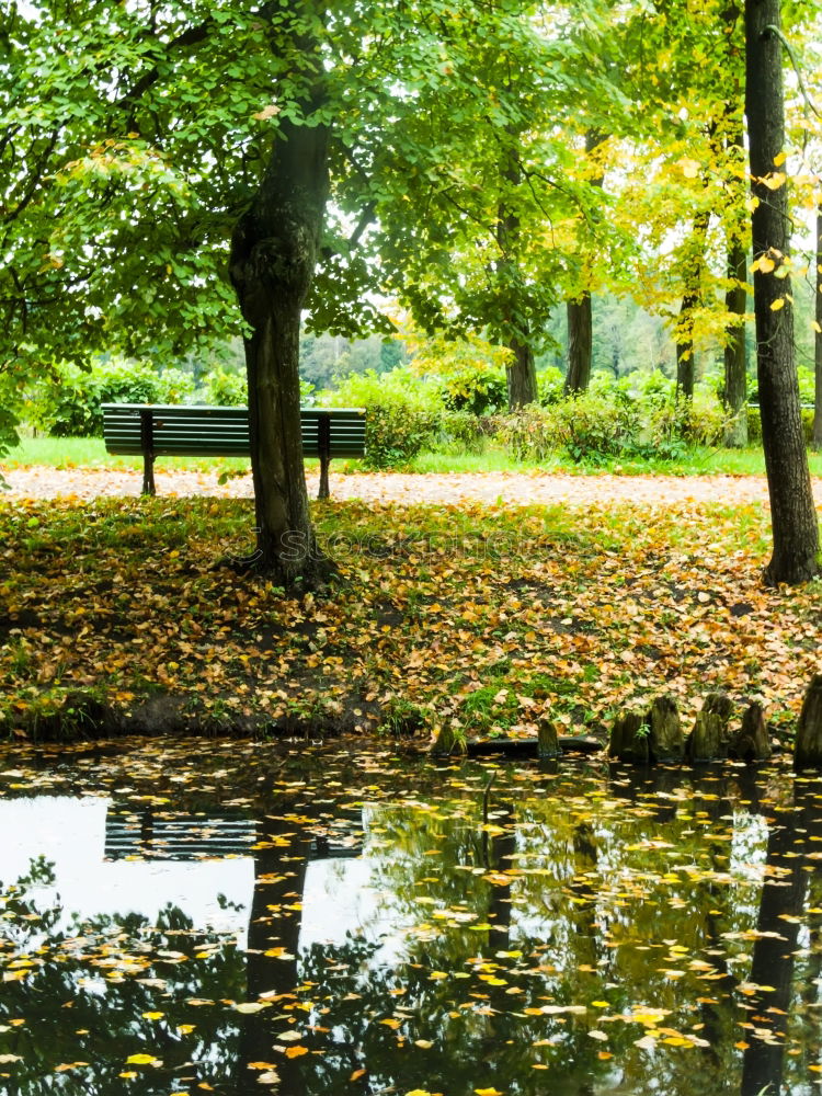 Similar – Autumn in Hyde Park, London.