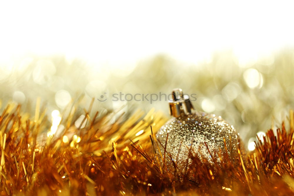 Similar – Image, Stock Photo Stones on the beach close-up