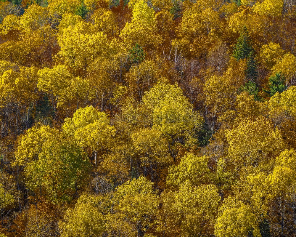 Similar – Schduagerter Landschaft