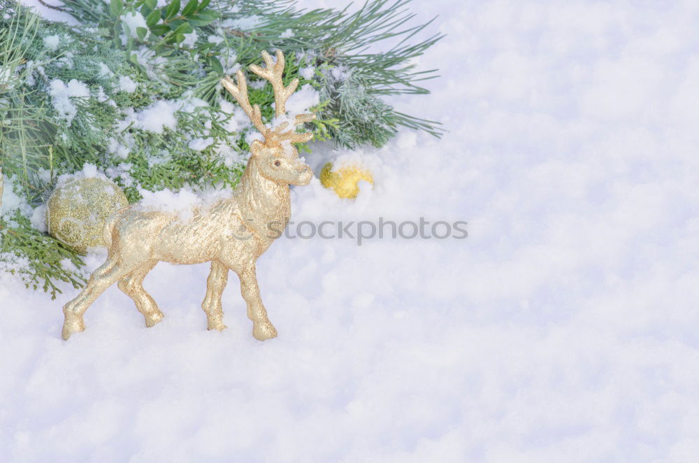 Image, Stock Photo AKCGDR# Snow track V Art