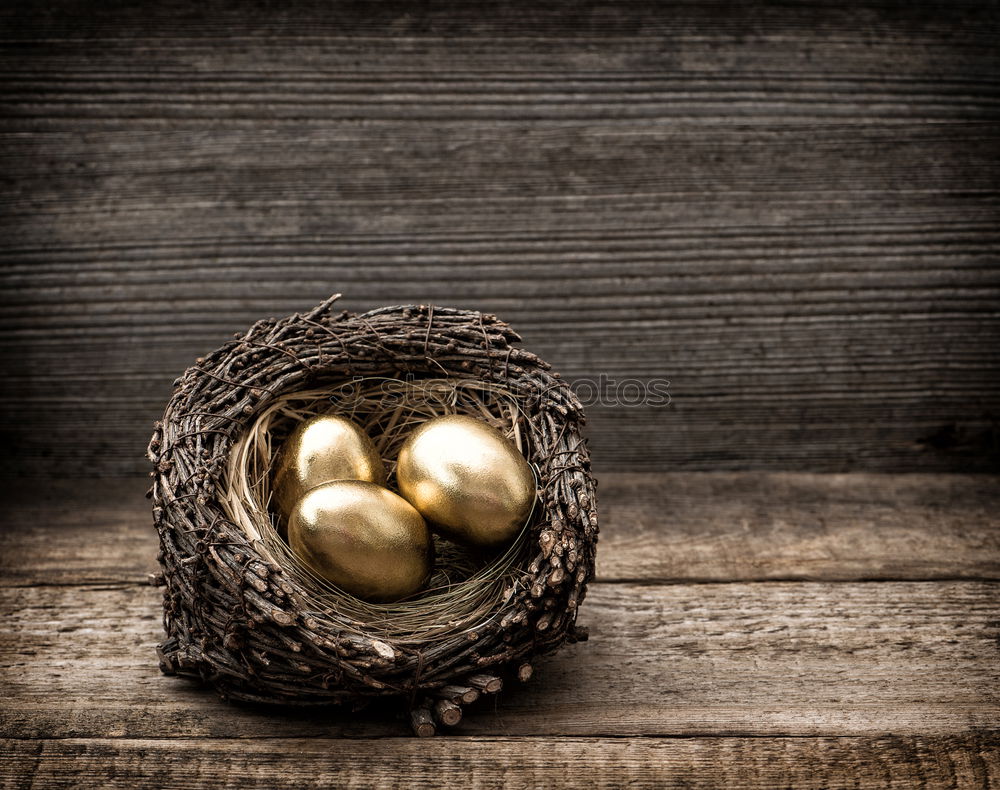 Similar – Image, Stock Photo osterkranz the fourth Wood