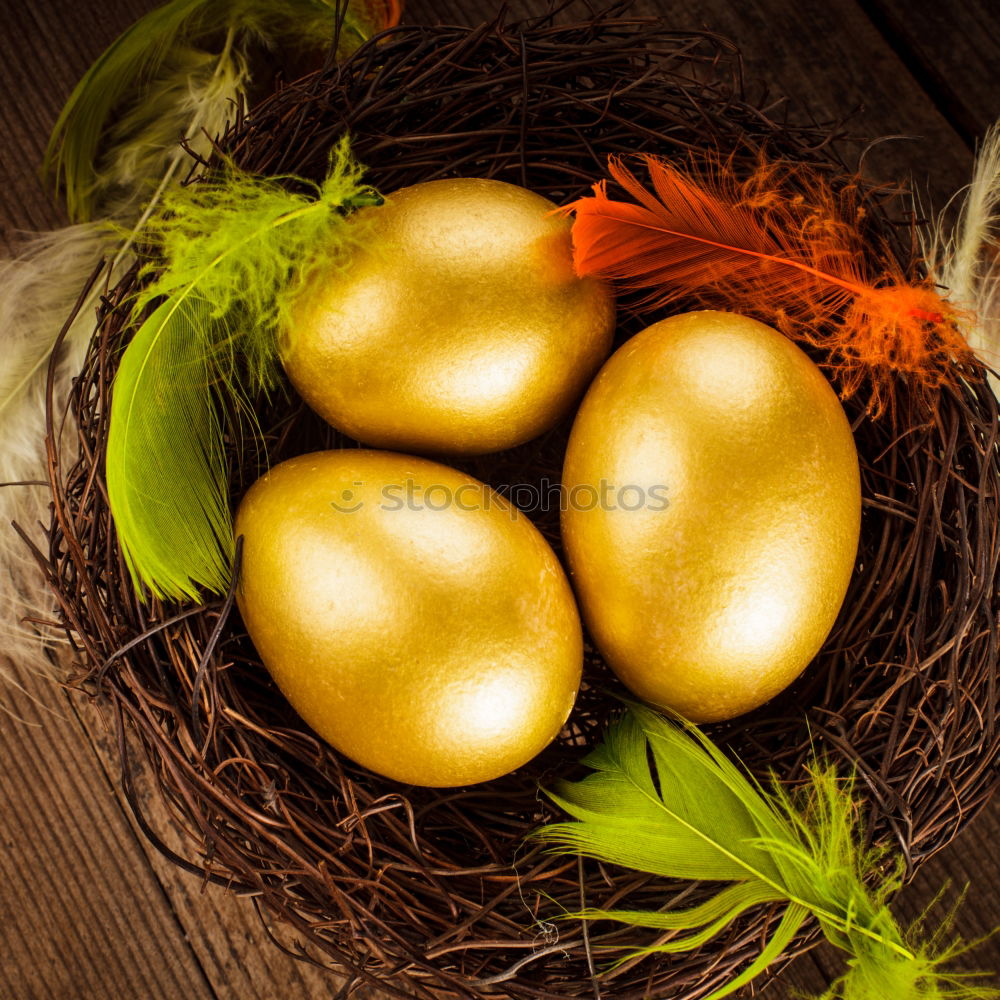 Similar – triple Eggs Nature