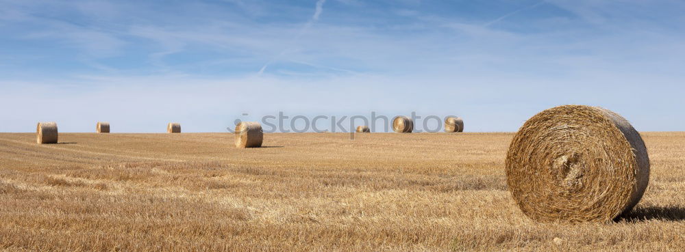 Similar – hay bales Straw Field