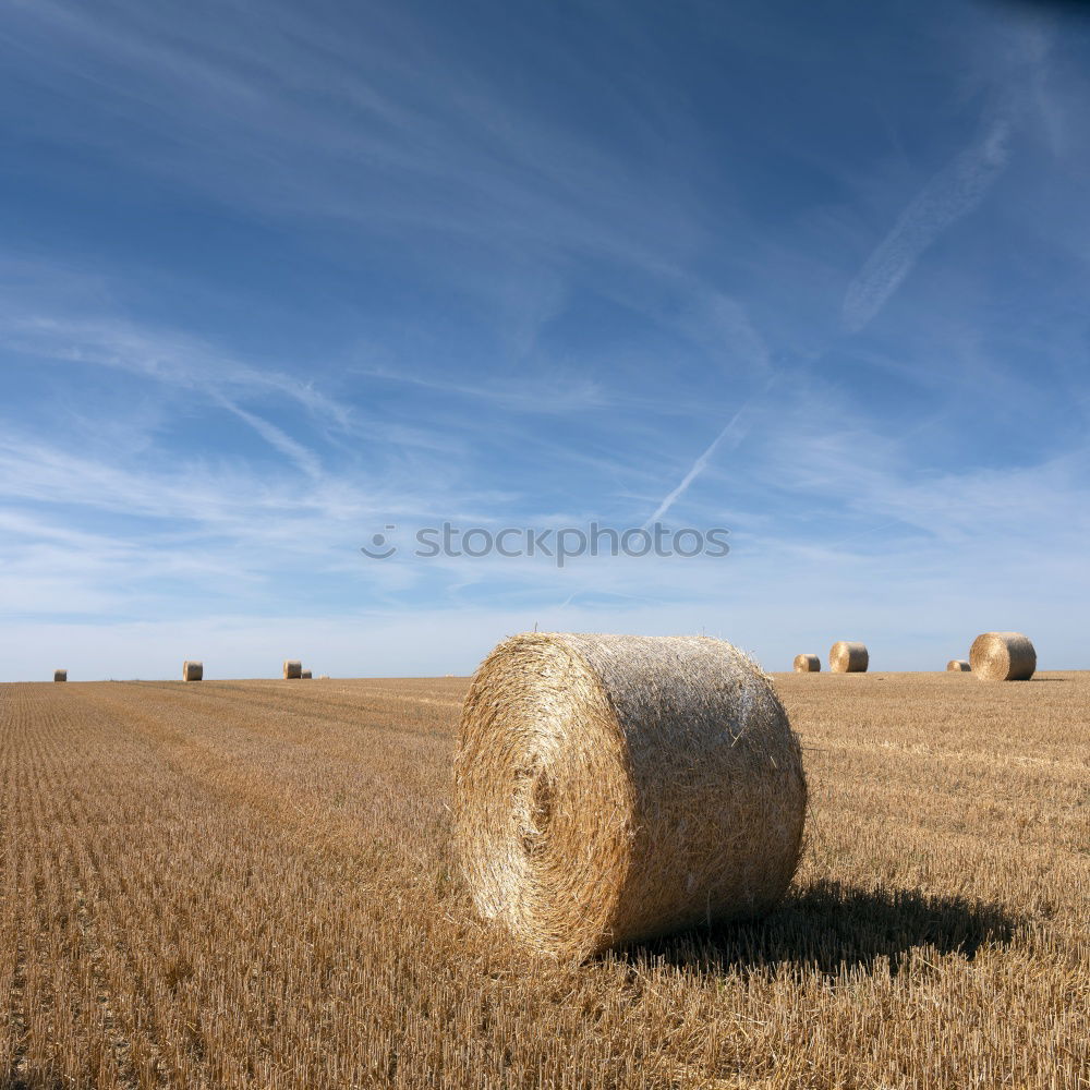 Similar – hay bales Straw Field