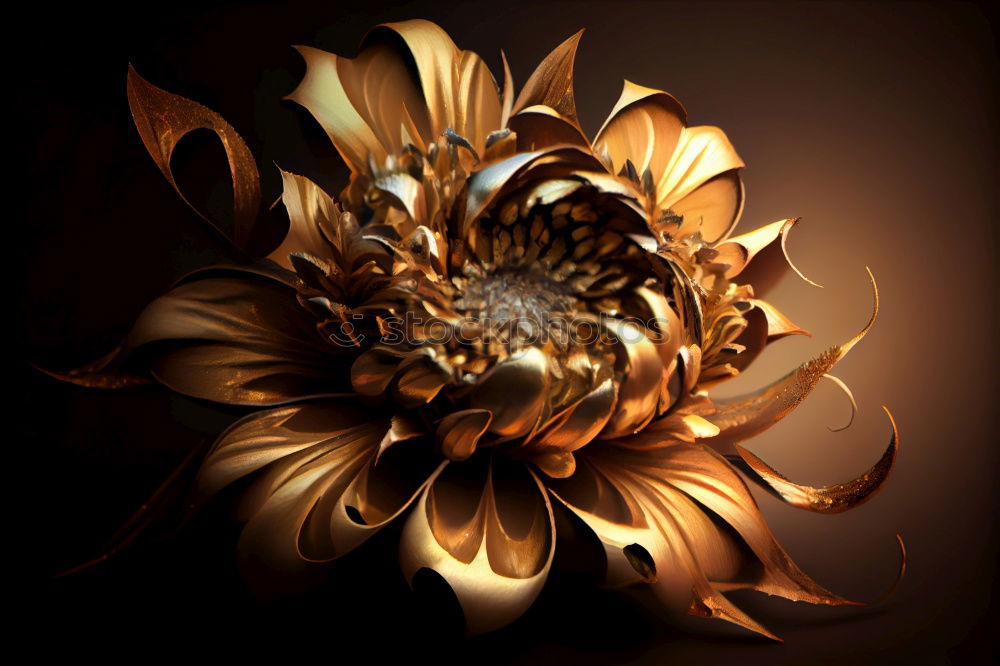 Similar – Image, Stock Photo Sun or flower Sunflower