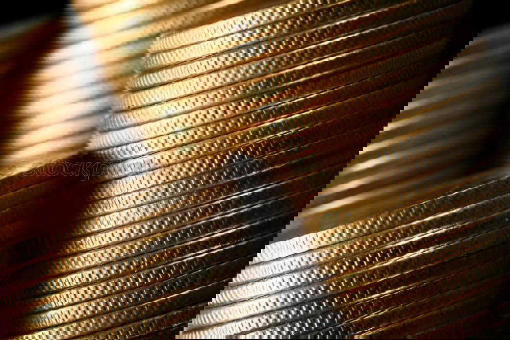 Similar – Image, Stock Photo #A# Coin collection Art