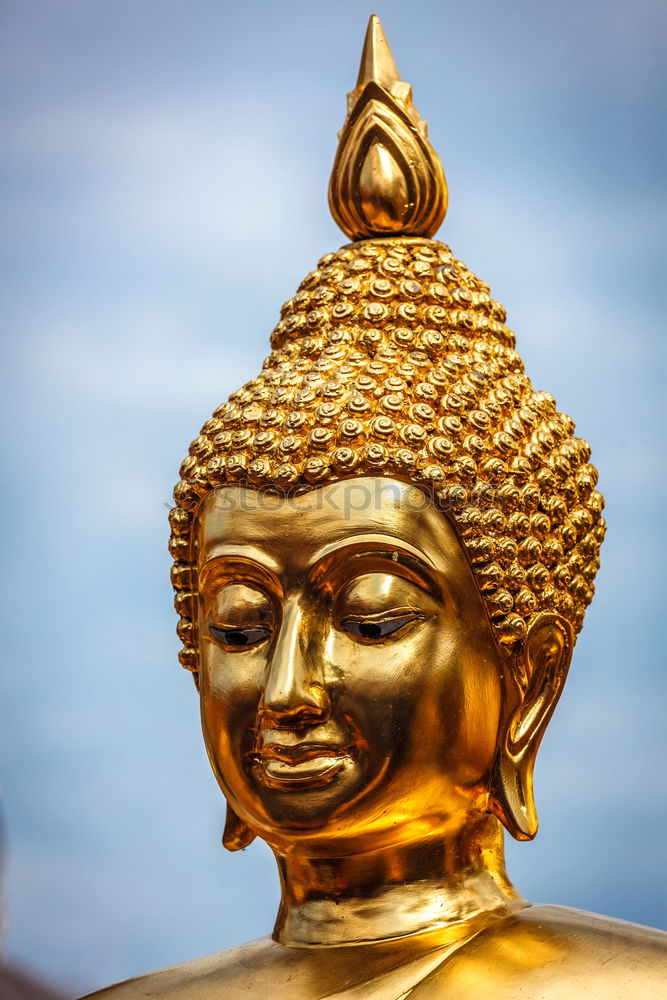 Similar – Image, Stock Photo Buddha Safari Body 1