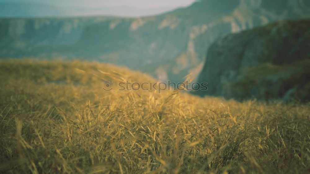 Similar – Foto Bild California Sunset