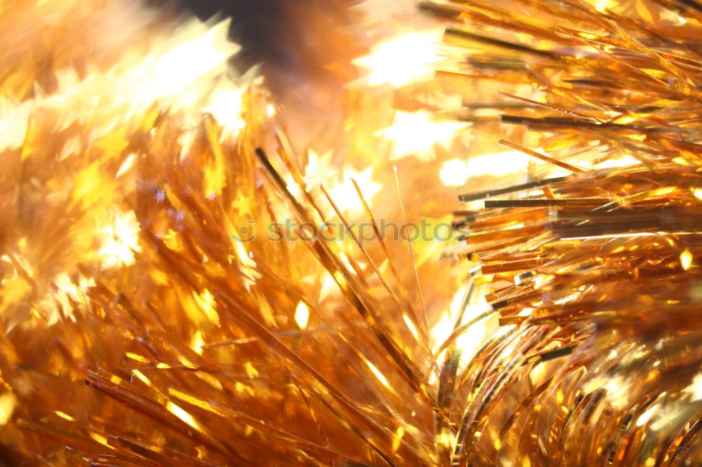 Similar – Image, Stock Photo hair always go Autumn