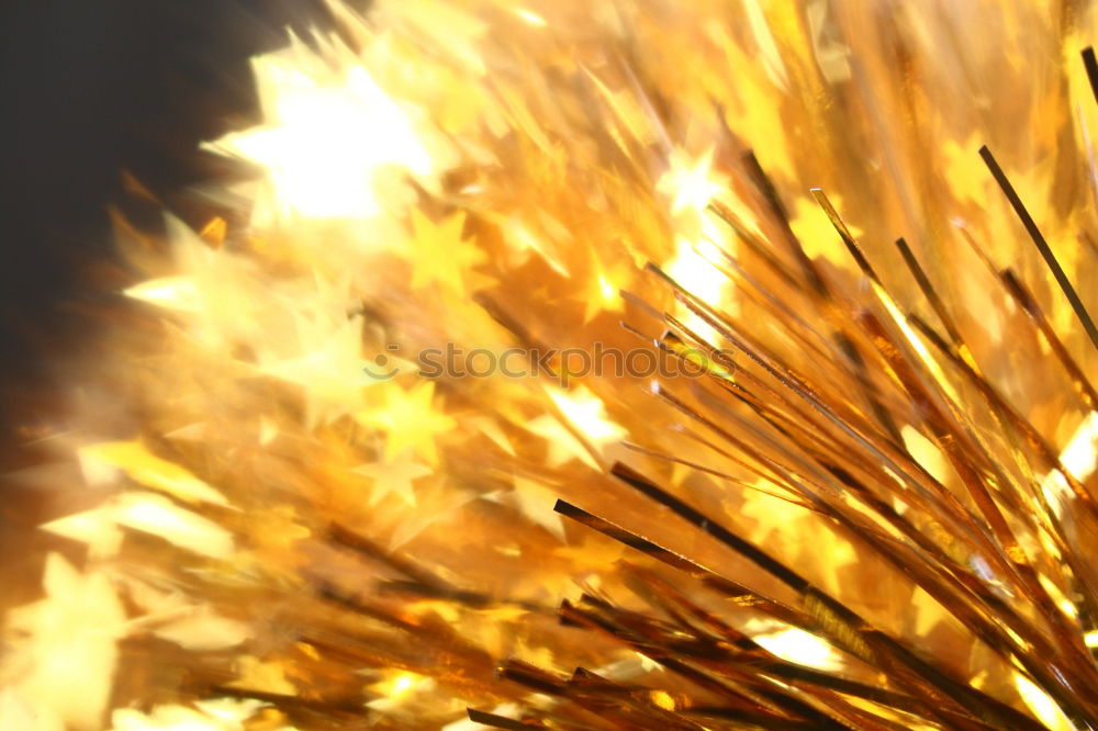 Similar – Image, Stock Photo hair always go Autumn