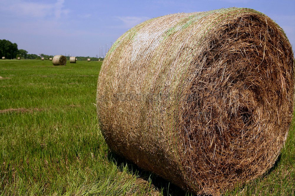 Similar – Bale of Straw Hay