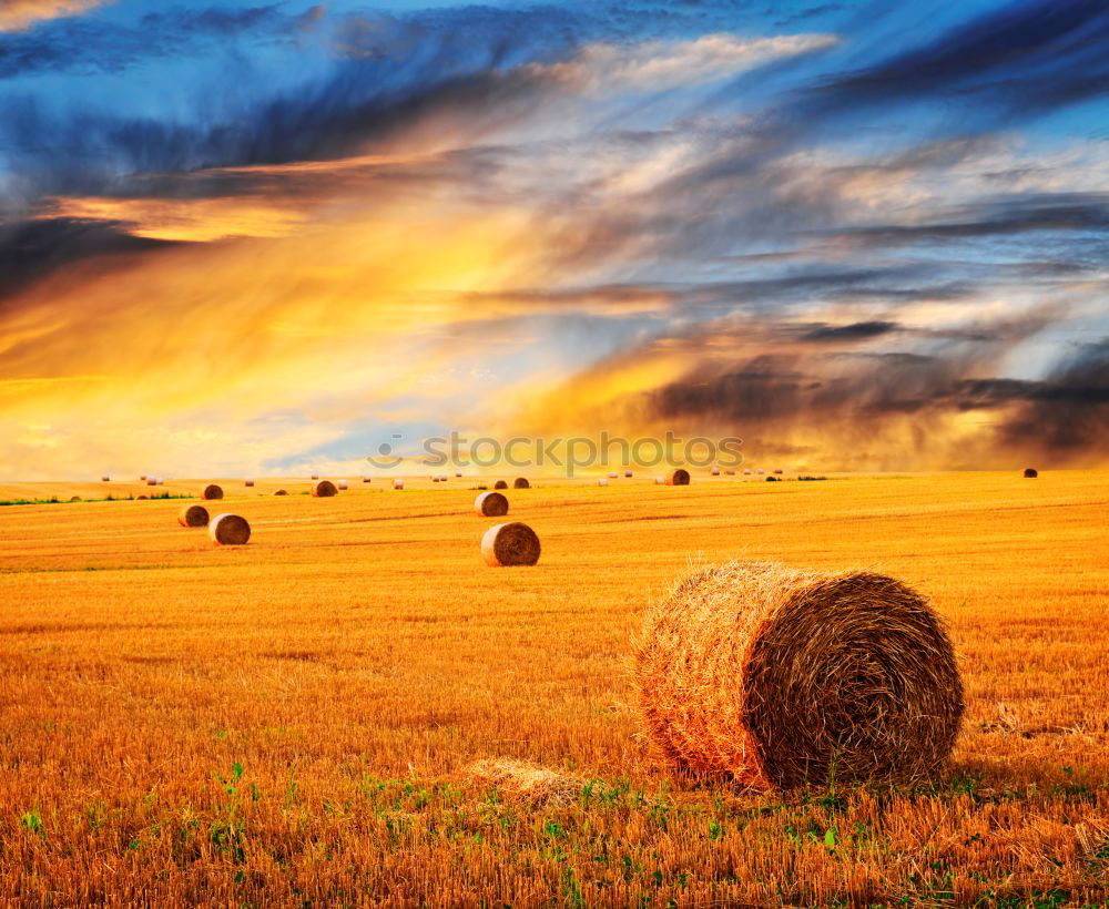 Similar – Image, Stock Photo Harvester on a field