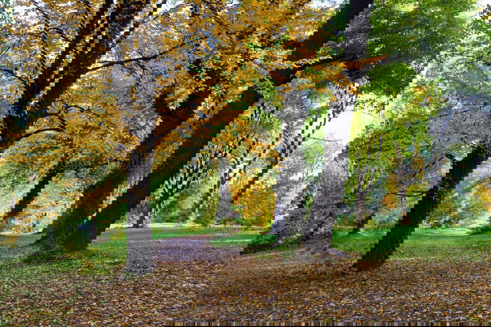 Similar – Image, Stock Photo accurateness Landscape