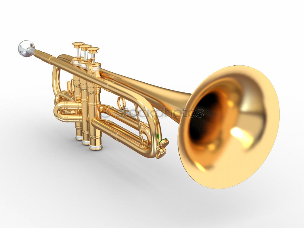 Foto Bild Horn Dinge Musikinstrument