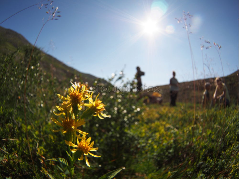 Similar – Foto Bild Tirol Natur Landschaft