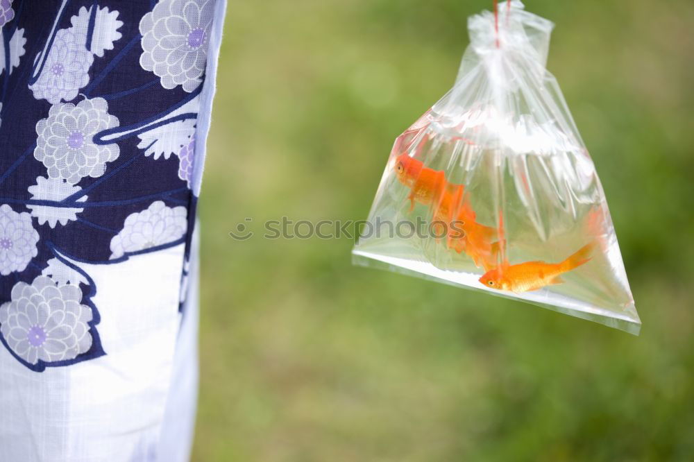 Similar – Various fish in plastic bags