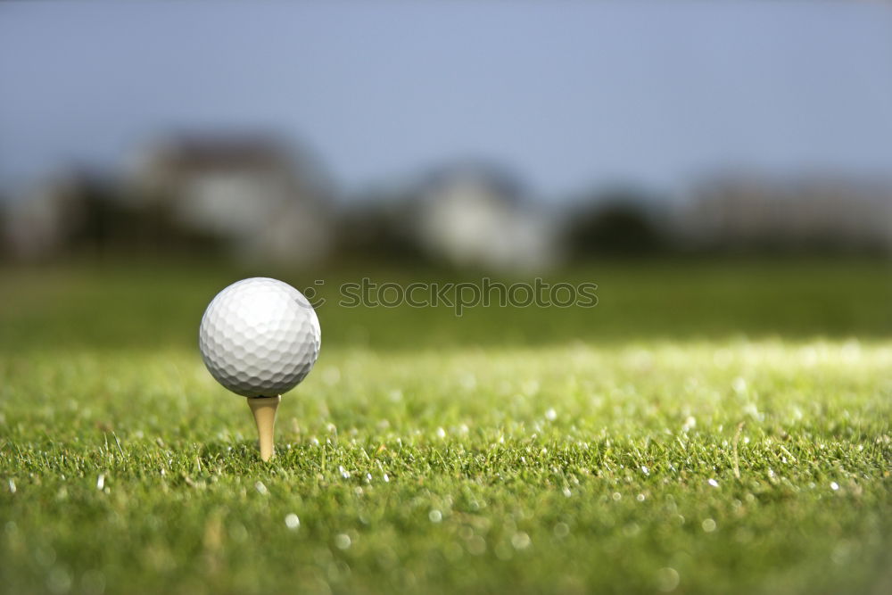 Similar – Foto Bild Handicap 2 elegant Stil