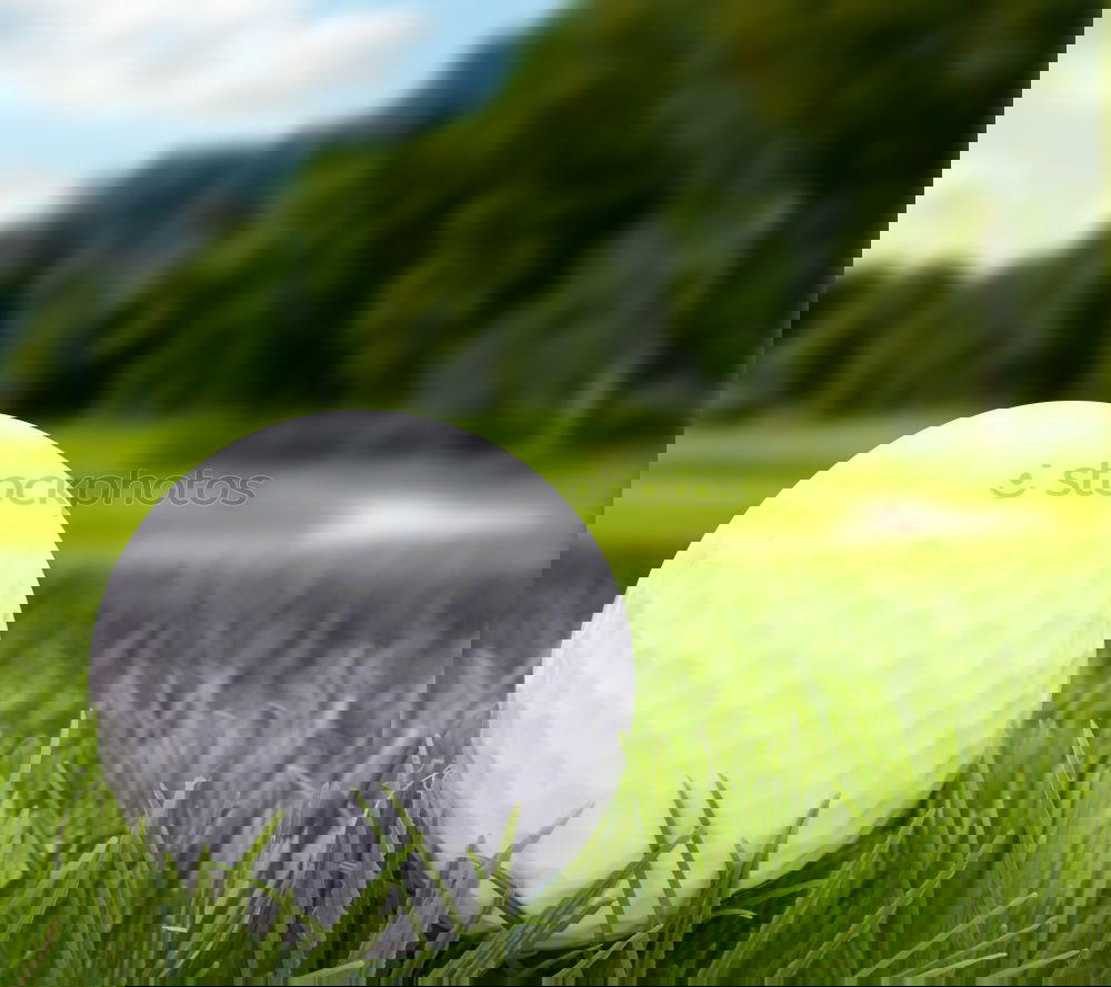 Similar – Image, Stock Photo Golf green Lifestyle