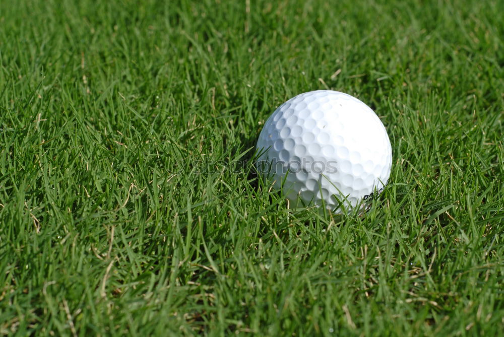 Similar – Golfball Golfplatz