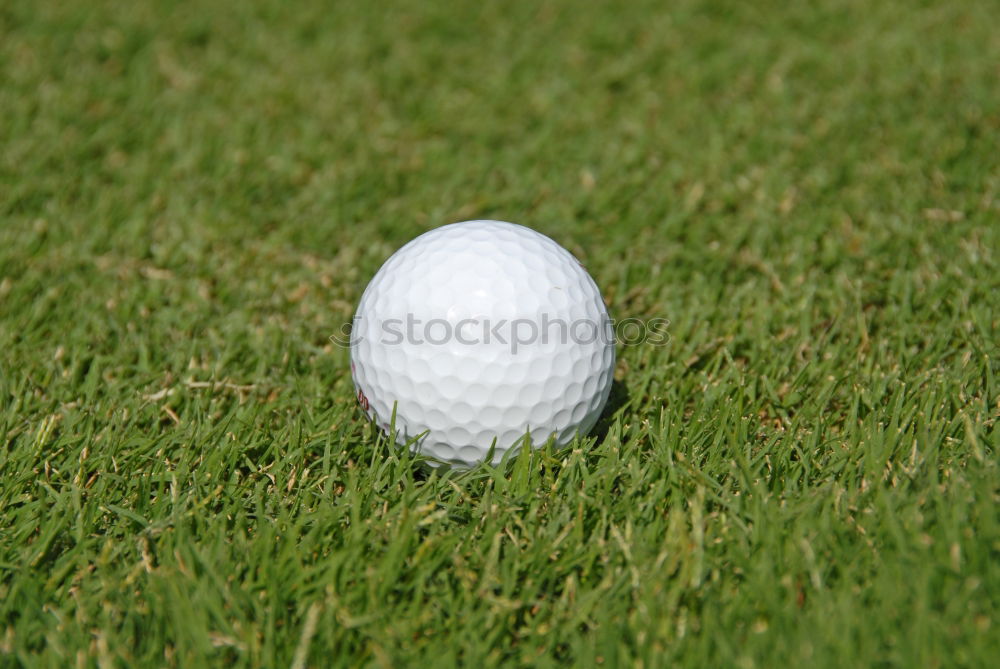 Similar – Golfball Golfplatz