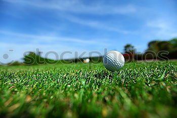 Similar – Image, Stock Photo Golf green Lifestyle