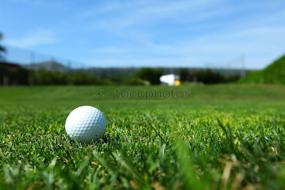 Similar – Image, Stock Photo Earthworm Perspective