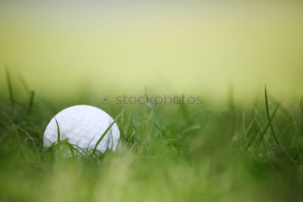 Similar – Image, Stock Photo Golf ball sunk Grass