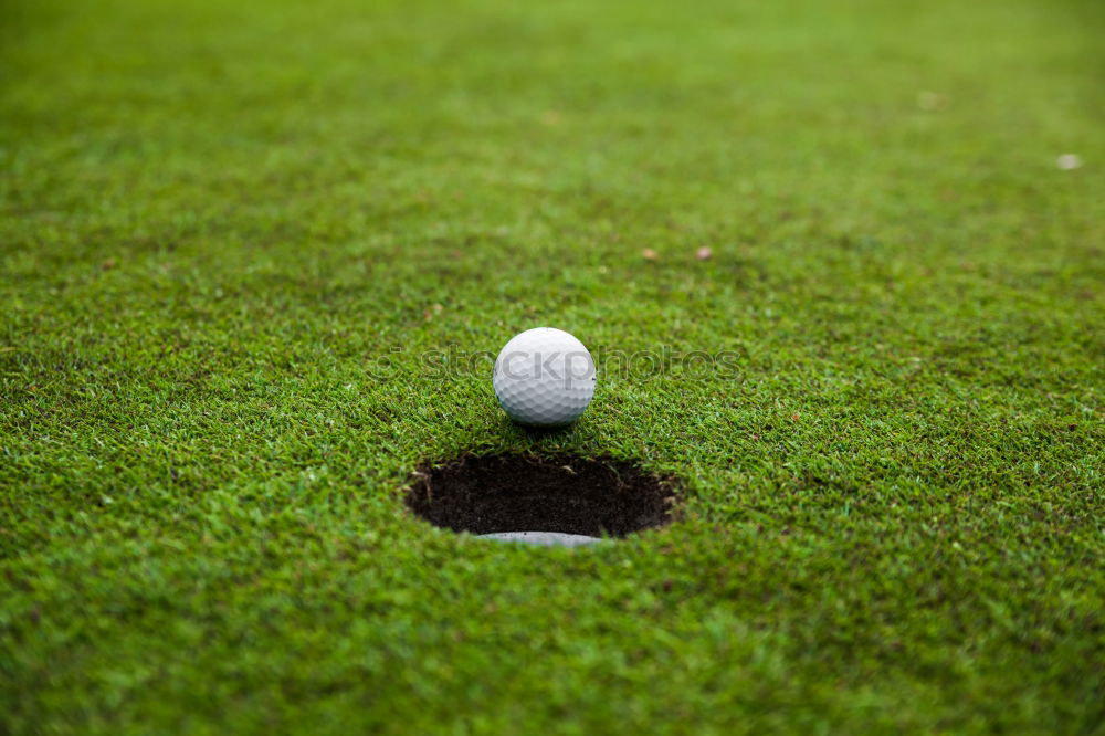 Similar – Minigolf ball holed on a minigolf course