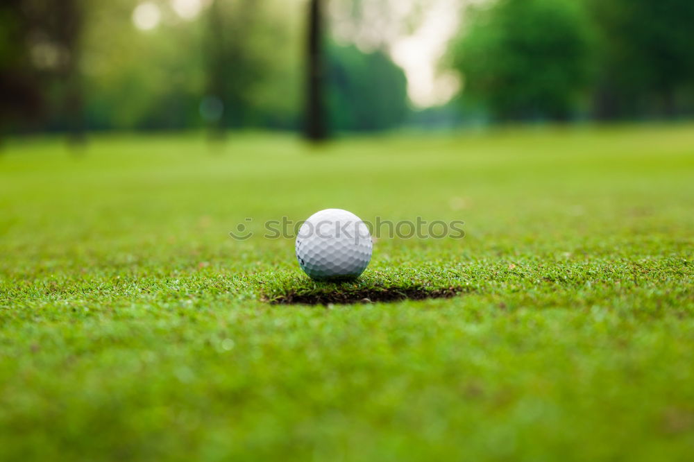 Similar – boule Boules Iron Playing