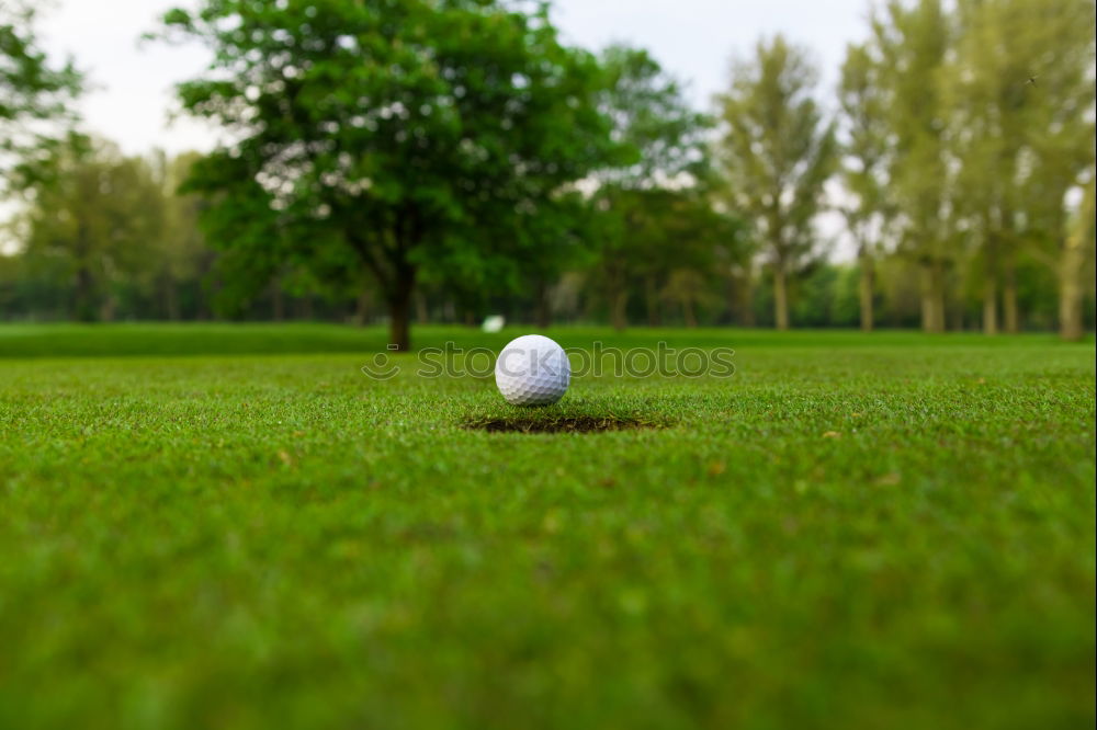 Similar – boule Boules Iron Playing