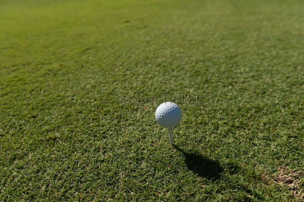 Similar – Image, Stock Photo Golf ball sunk Grass